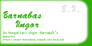 barnabas ungor business card